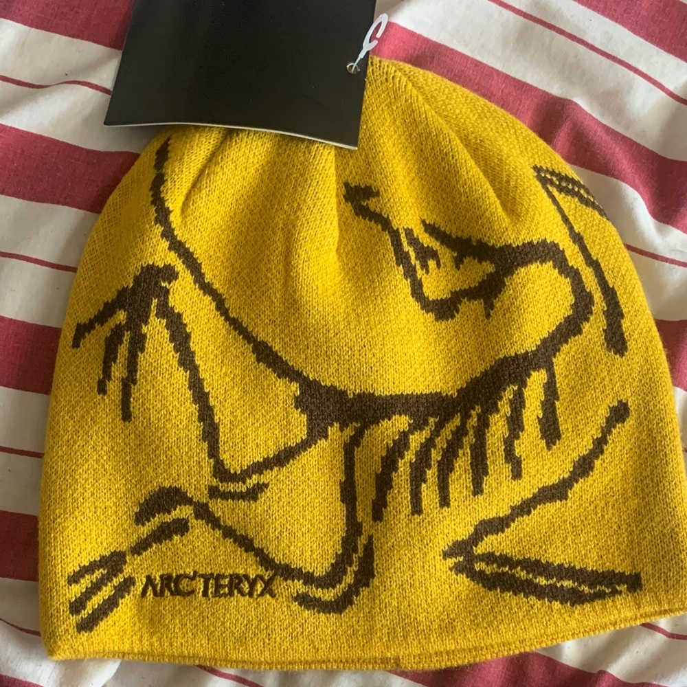 Arc'teryx Mustard and Dark Brown Beanie